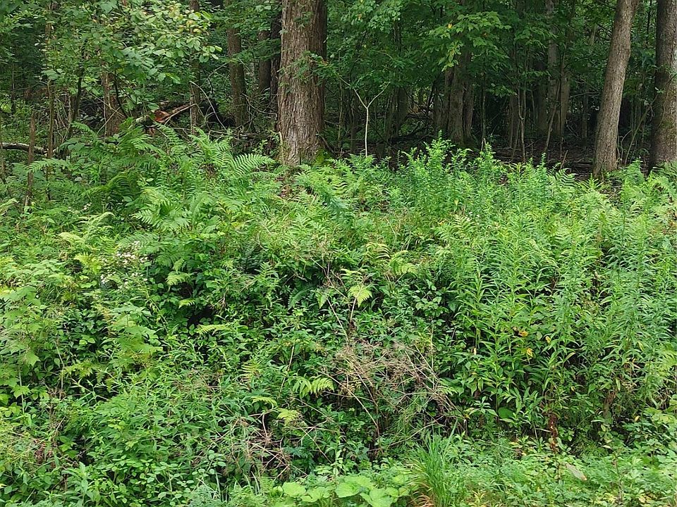 1st image of 0 Lake Creek Rd