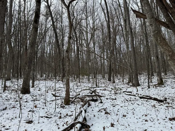 Street Place Loop, Monterey, TN 38574