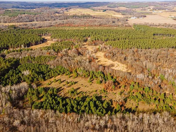 +/-39 Acres Prairie Road, Osseo, WI 54758
