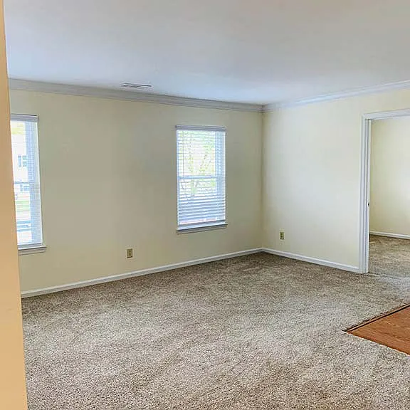 Living room with plush carpet