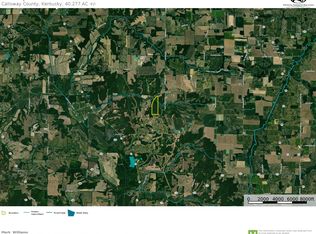 1191 Protemus Rd, Farmington, KY 42040