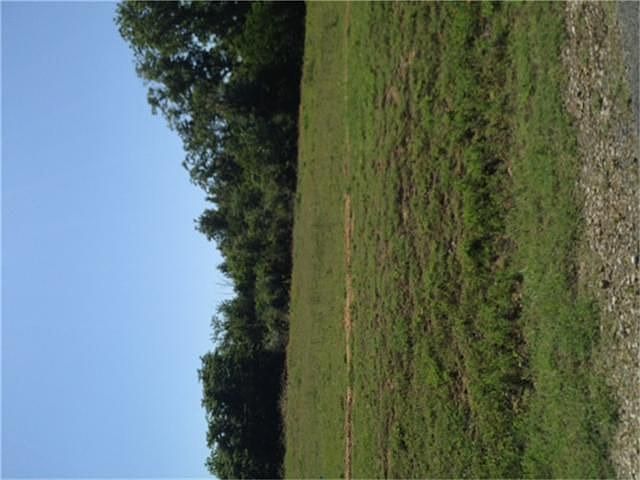 2nd image of 110 Anna Springs Ln