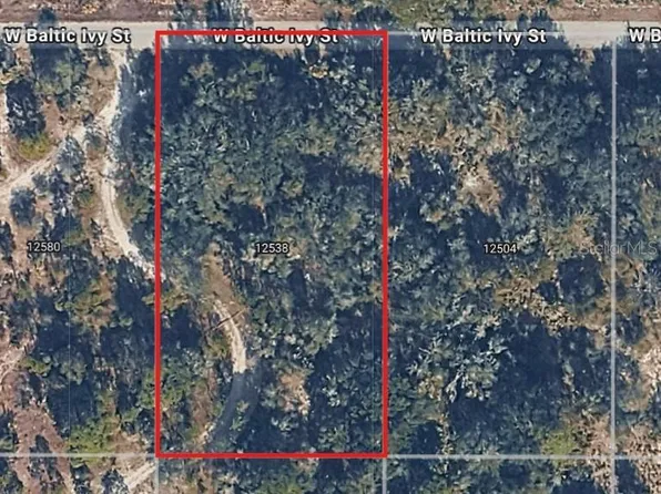 12538 W Baltic Ivy St Lot 3, Crystal River, FL 34428