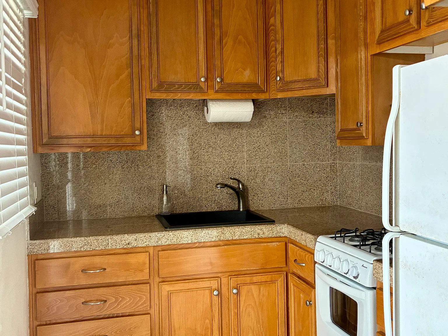 1 bed, 550 sqft, $3,100 — Photo 4