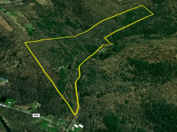 Gay Hollow Rd Lot Wp001, Spencer, NY 14883