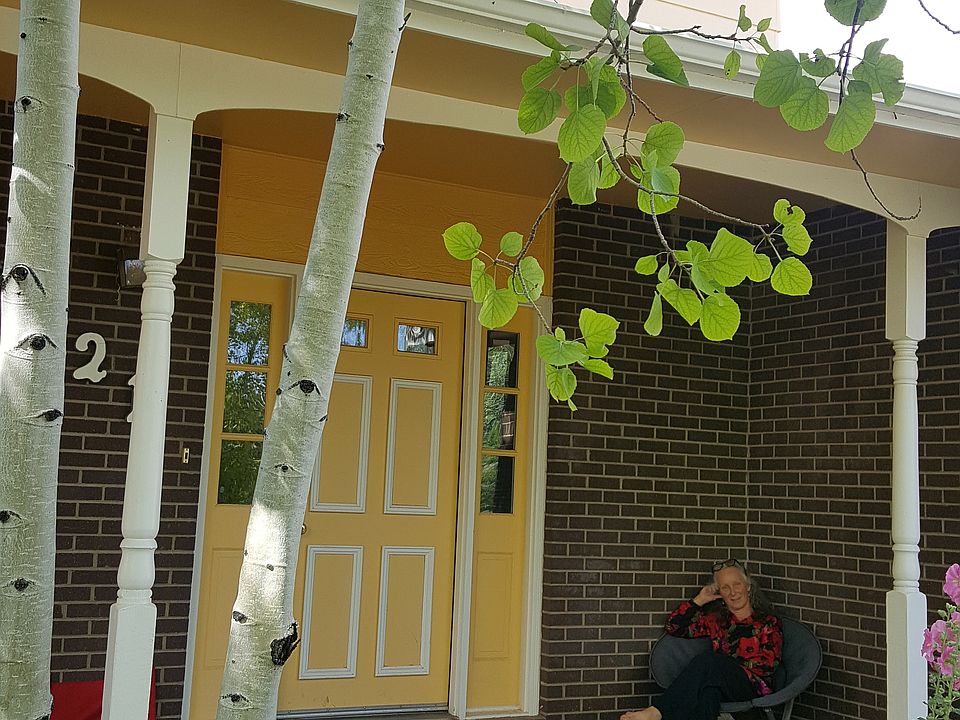 Front yard with entry and sunroom windows.