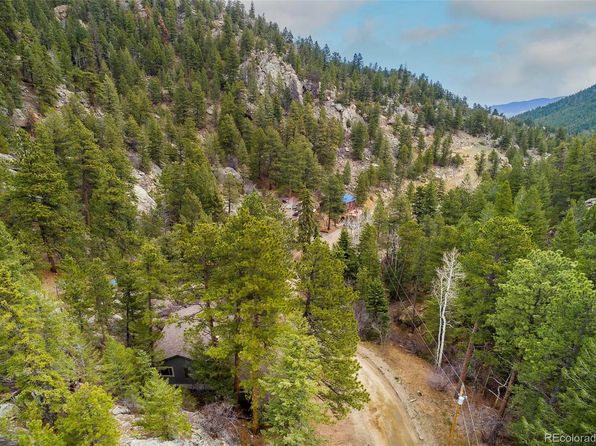 1608 Beaver Brook Canyon Road, Evergreen, CO 80439