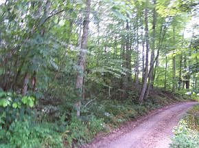 2nd image of 0 Ogle Rd