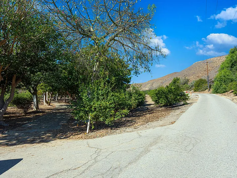 1057 E La Loma Ave — Photo 71