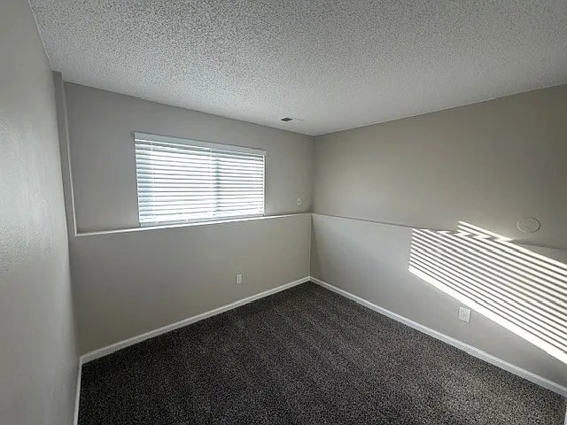 8451 Gambel Oak Ct — Photo 11