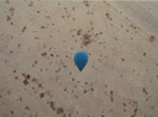 2227 Palm View Ave, Thermal, CA 92274