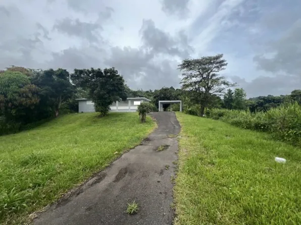 Bo Cubuy Carr 186 Km #9.7, Canovanas, PR 00729