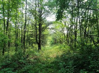 0 Roloson Hill Rd, Millport, NY 14864