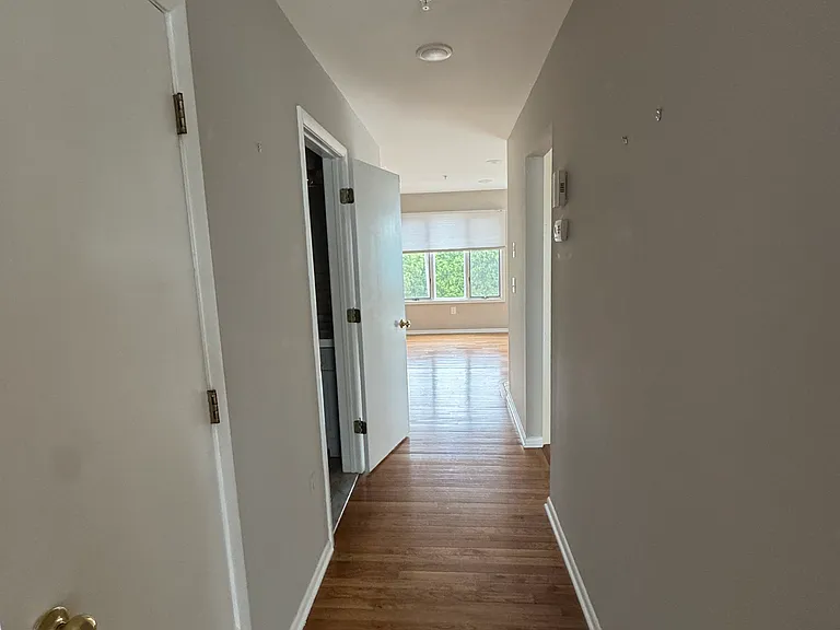53 Dunbar Ave #3 — Photo 5