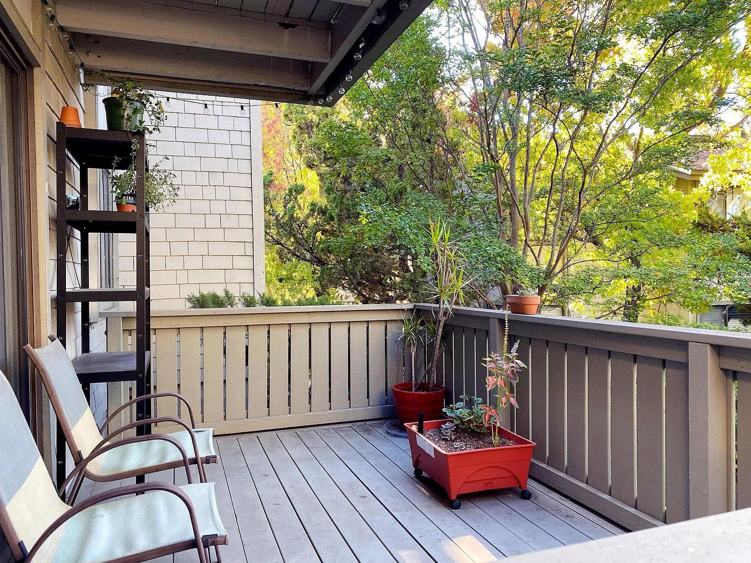 1481 Marchbanks Dr — Photo 4
