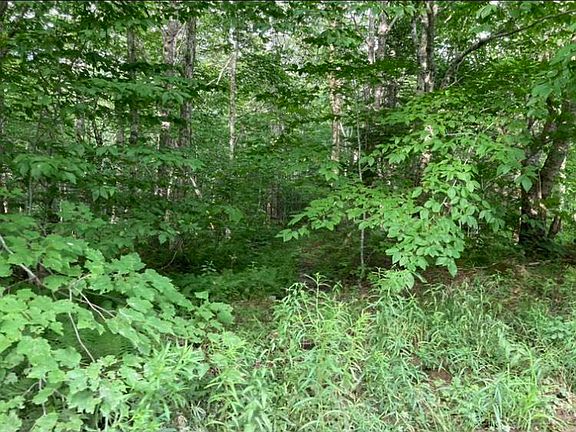 5th image of Simons Rd