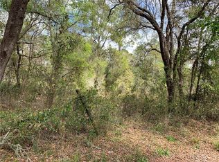 Rose Bloom Ave, Webster, FL 33597