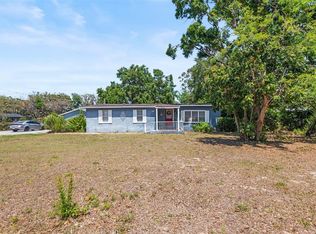 2805 Olavet Ct, Valrico, FL 33596