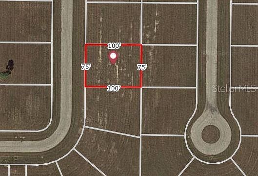 2nd image of 31 Avocado Dr