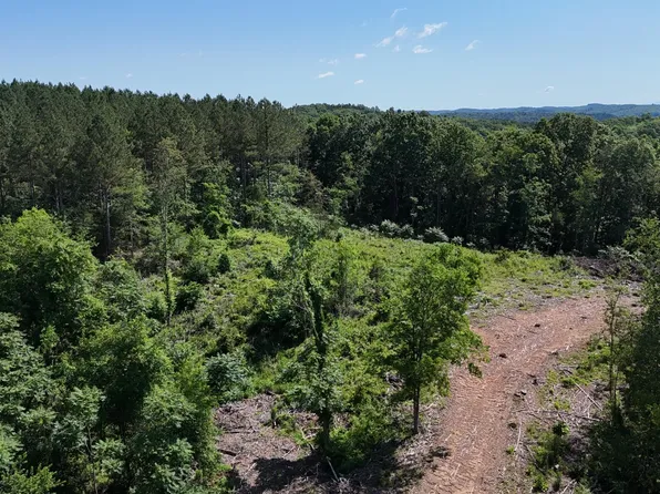 2 Lamontville Road, Decatur, TN 37322