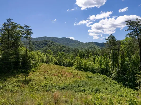 1555 Camp Creek Rd, Whittier, NC 28789