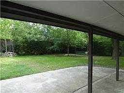 shady yard
