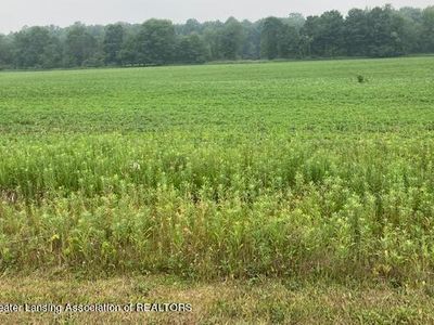 0 Birchridge Dr Parcel J, Charlotte, MI, 48813