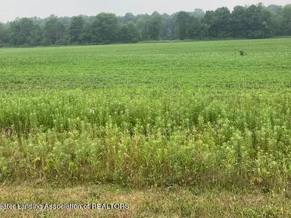 0 Birchridge Dr Parcel A, Charlotte, MI 48813