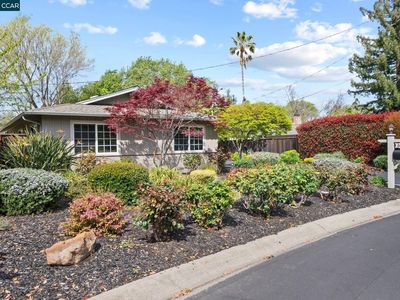 160 Greenwood Cir, Walnut Creek, CA, 94597