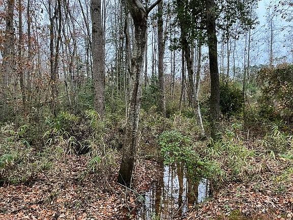 5th image of 456 Irving Rd