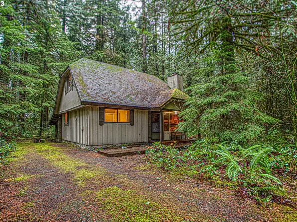 24747 E Old Smokey Rd, Rhododendron, OR 97049