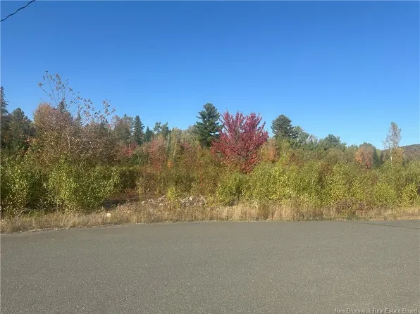 4 Crain Ct #10, Woodstock, NB E7N 0B1