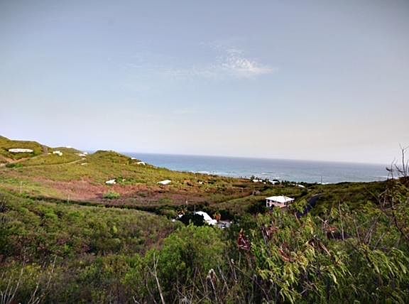 2nd image of 61 North Grapetree