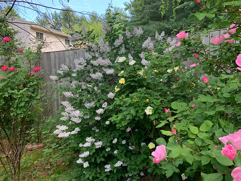 6 Grovepoint Ct — Photo 23