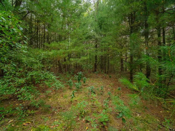 0 Erdman Rd, Onekama, MI 49675