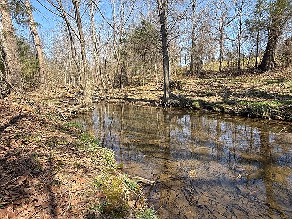 5th image of 395 Lee Ln