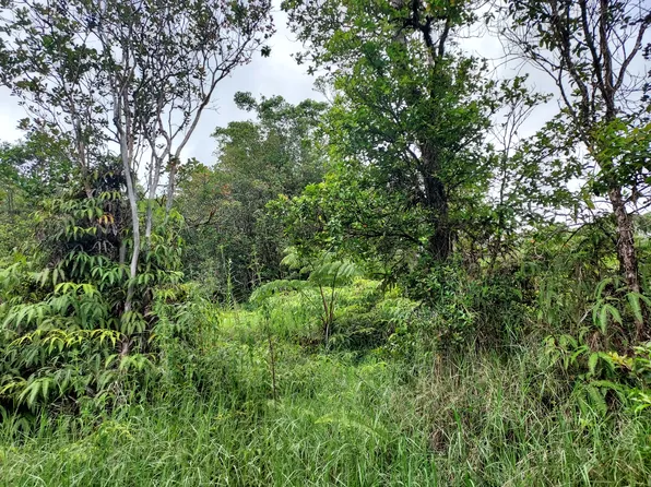 18-2300 Road 9, Volcano, HI 96785