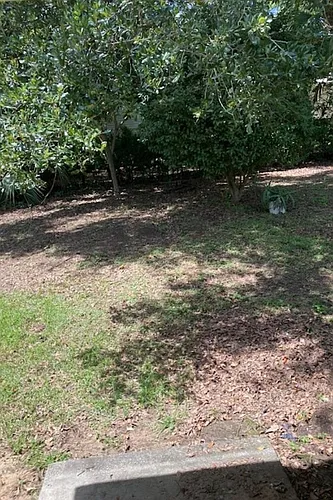 1268 Ocala Rd Photo 1