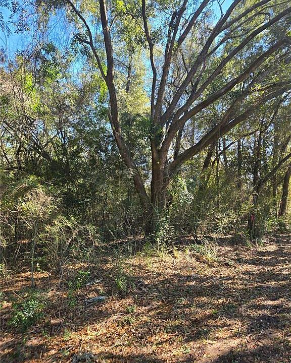 2nd image of 10086 Old Highway 43