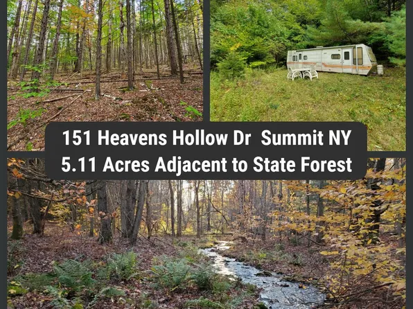 151 Heavens Hollow Dr, Summit, NY 12175