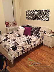 Rented by Bapple