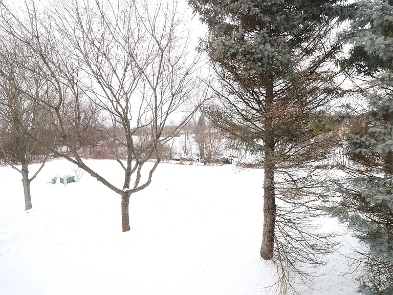 42810 Lilley Pointe Dr — Photo 15