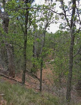 4th image of 11767 County Road 284