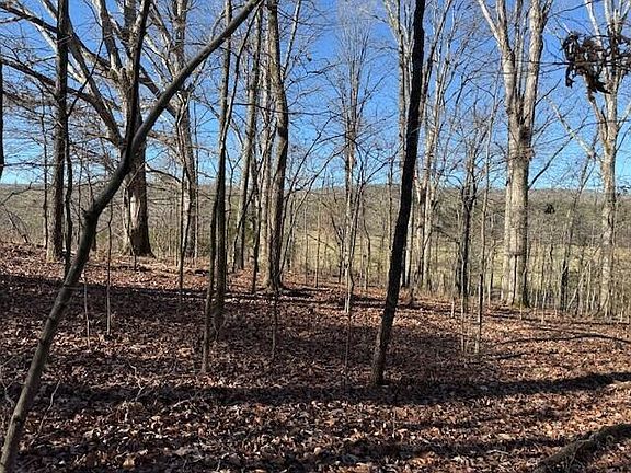 2nd image of 1 County Road 751 Lot 1