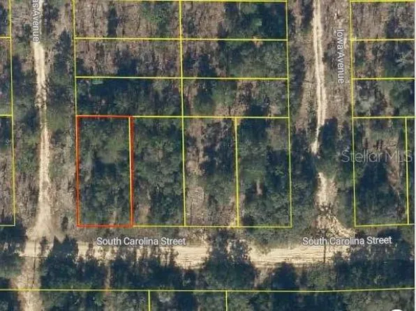 S Carolina St #30, Hawthorne, FL 32640