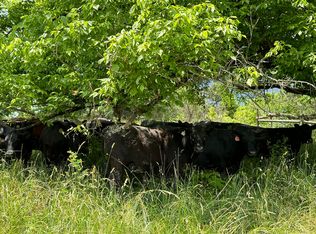 942 Tark Hill Rd, Grayson, KY 41143