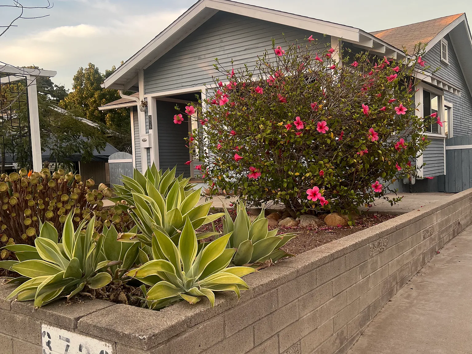 2 bed, 1000 sqft, $3,900 — Photo 3