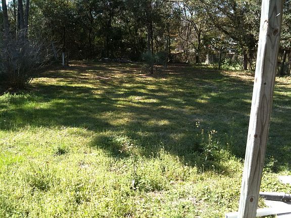 back yard