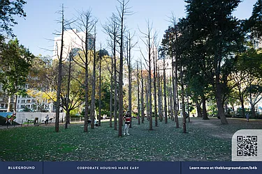 Rented by The Blueground