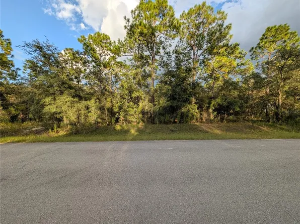 NW BUENA VISTA ROAD LOT 13, DUNNELLON, FL 34431